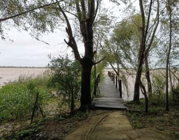 Dos terrenos de 22 hectáreas para el puerto .